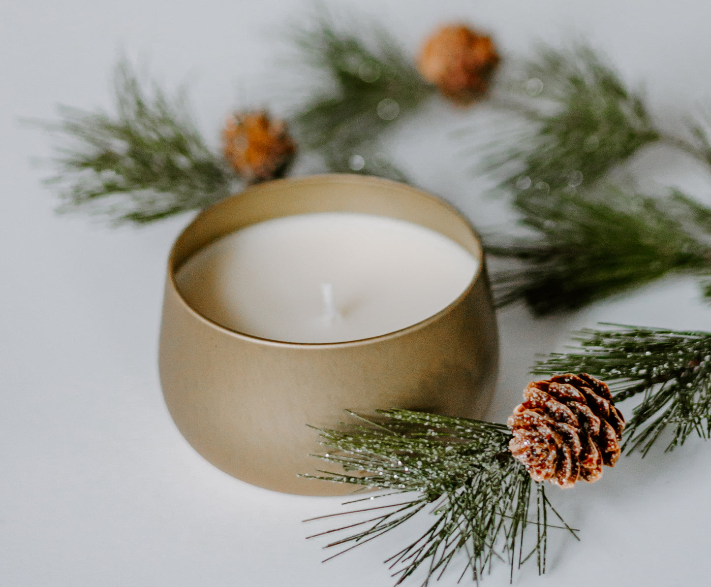 White Birch | 8 oz